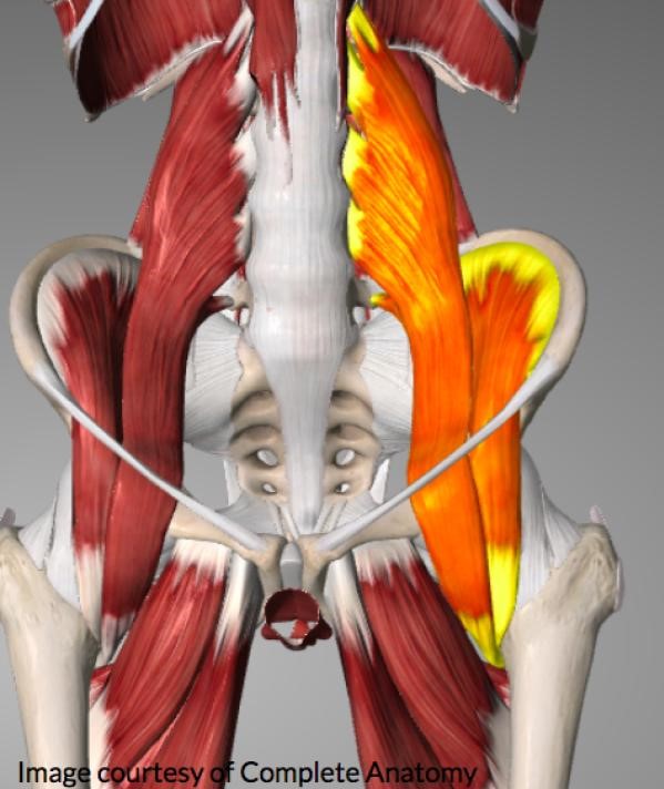 Part 4: Running with Hip Pain | Active PT & Sports